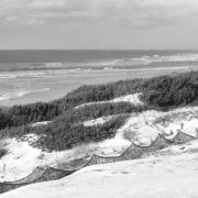 2023 vlux 3 250 1 Dune du Pilat